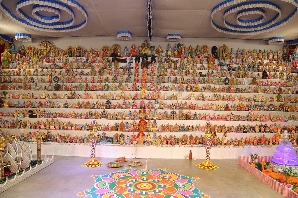 THE MAGNIFICENT GOLU 2024-25